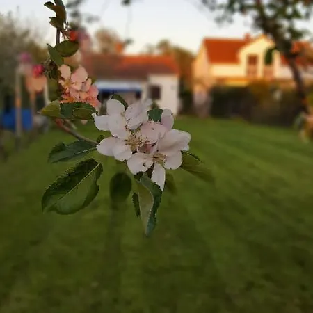 Semesterbostad Kuca Za Odmor Šišan